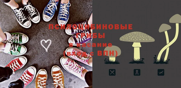спайс Аркадак