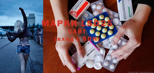 спайс Аркадак