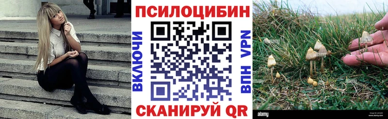 Купить  Западная Двина  Галлюциногенные грибы прущие грибы 