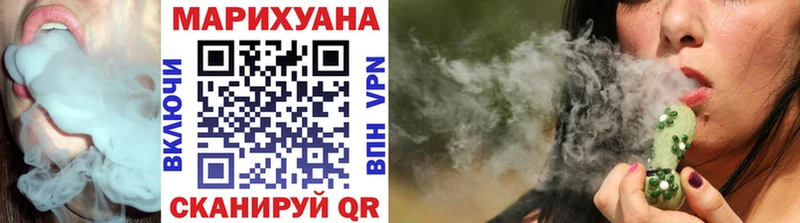 Купить закладки  Западная Двина  Шишки марихуана сатива 